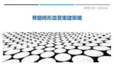 脊髓畸形血管重建策略-详解洞察