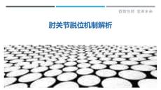 肘关节脱位机制解析-详解洞察