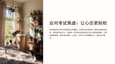 《应对考试焦虑》课件