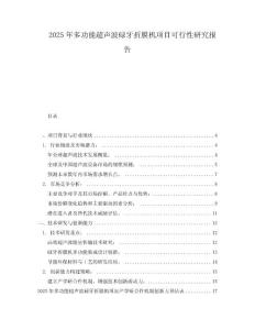 2025年多功能超声波碌牙折膜机项目可行性研究报告