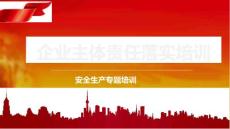 主体责任落实培训