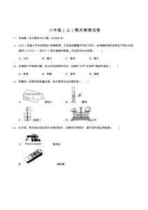 2  八年級（上）期末物理試卷解析版