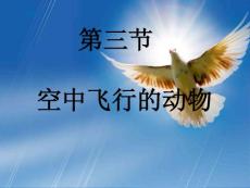 空中飛行的動物