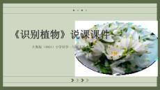 大象版（2024）小學科學一年級下冊《識別植物》說課課件