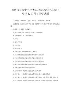 重慶市長壽中學校2024-2025學年九年級上學期12月月考化學試題