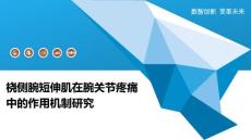 桡侧腕短伸肌在腕关节疼痛中的作用机制研究-全面剖析