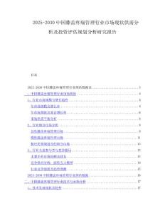2025-2030中国膝盖疼痛管理行业市场现状供需分析及投资评估规划分析研究报告
