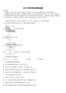 2022學年湖北武漢一初慧泉中學中考化學模試卷含解析