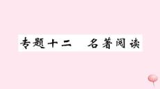 江西專版八年級語文下冊專題十二名著閱讀習(xí)題課件新人教版