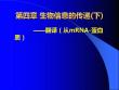 第四章生物信息的傳遞下3ppt課件-完整版