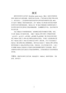 遗传性痉挛性共济失调症相关病理蛋白NKX6-2的结构与功能研究