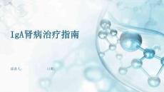 IgA肾病治疗指南