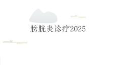 膀胱炎诊疗2025