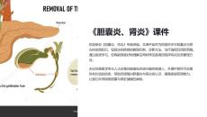 《胆囊炎、肾炎》课件