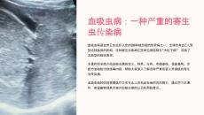 《血吸虫病》课件