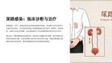 《尿路感染》课件