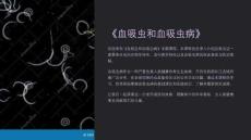 《血吸虫和血吸虫病》课件