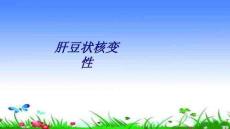 肝豆状核变性讲义