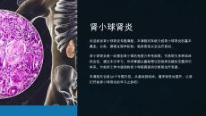 《肾小球肾炎》课件