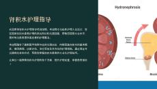 《肾积水护理指导》课件