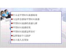 豬流感防護指南全面預防策略培訓課件