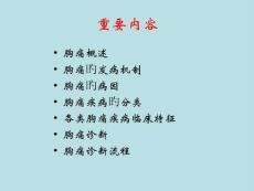 胸部疼痛诊断与治疗策略详讲PPT培训课件