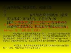 2025年颅底扁平症深度解析与防治策略培训课件