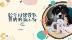胫骨内髁骨软骨病的临床特征