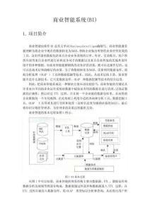 商業(yè)智能系統(tǒng)(BI)