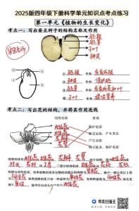 第一單元《植物的生長變化》