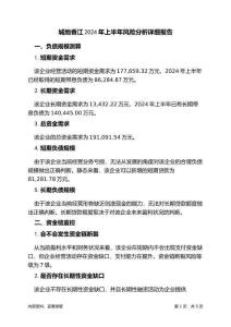 城地香江2024年上半年财务风险分析详细报告