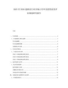 2025至2030迷路炎行业市场占有率及投资前景评估规划研究报告