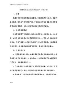 生物質(zhì)能源開發(fā)投資指南與商業(yè)計(jì)劃