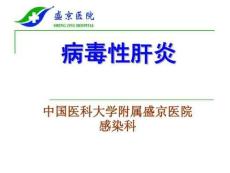 肝炎课件