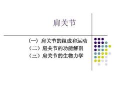 肩关节课件