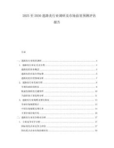 2025至2030迷路炎行业调研及市场前景预测评估报告