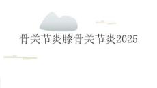 骨关节炎  膝骨关节炎2025
