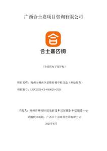 某某城中村改造競(jìng)爭(zhēng)性采購(gòu)文件（測(cè)繪服務(wù)）