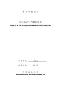 刑法从重处罚规则研究