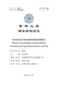 吉林市農業電子商務發展影響因素及策略研究