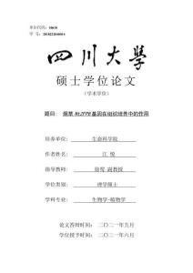 煙草NtZFP8基因在組織培養中的作用