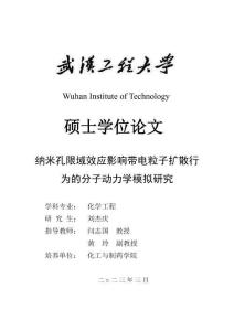 納米孔限域效應(yīng)影響帶電粒子擴散行為的分子動力學(xué)模擬研究
