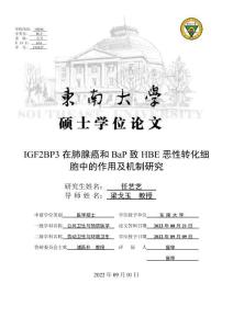 IGF2BP3在肺腺癌和BaP致HBE惡性轉(zhuǎn)化細(xì)胞中的作用及機(jī)制研究