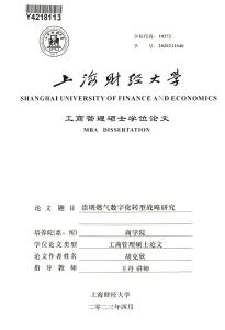 崇明燃?xì)鈹?shù)字化轉(zhuǎn)型戰(zhàn)略研究