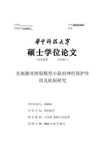光刺激對抑郁模型小鼠的神經保護作用及機制研究