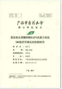 荔枝核總黃酮抑制NLRP3炎癥小體抗DMN致肝纖維化的機(jī)制研究