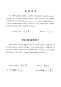 我國犯罪附隨性后果的反思與重構