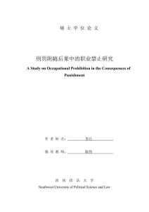 刑罰附隨后果中的職業禁止研究