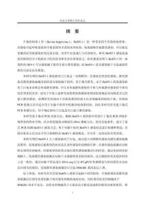 BoHV-1感染新西蘭白兔引起腦干損傷的初步研究