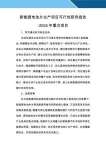 新能源電池片生產項目可行性研究報告-2025年重點項目